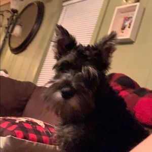 Meet your Posher, Raymond